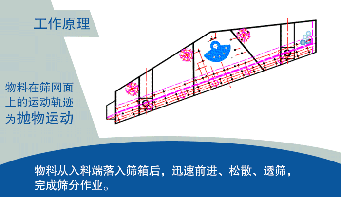 大型羞羞视频在线观看视频